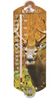 EZRead Indoor/Outdoor Thermometer