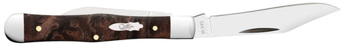 Case Smooth Brown Maple Burl Wood Small Swell Center Jack